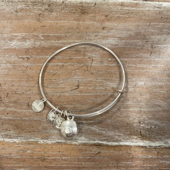 Alex and Ani Amethyst Silver Tone Bracelet - Picture 3 of 5